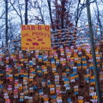 ellijay6