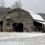ellijay8