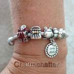 Updated Pandora Bead Charm Bracelet